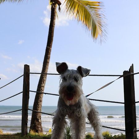 Hotel Playa Reina Llano de Mariato Zewnętrze zdjęcie